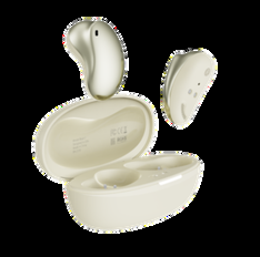 BEAN 1